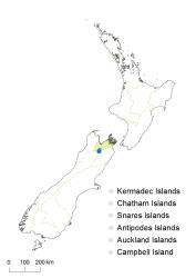Cardamine dactyloides distribution map based on databased records at AK, CHR, OTA & WELT.
 Image: K.Boardman © Landcare Research 2018 CC BY 4.0